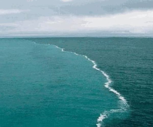 “I confini contano”. Psicologia, filosofia e politica nella riflessione di Frank Furedi