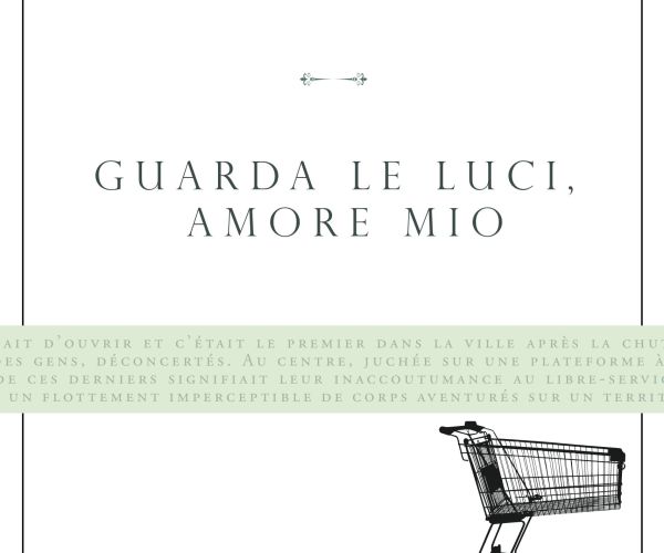 Su Guarda le luci, amore mio, di Annie Ernaux