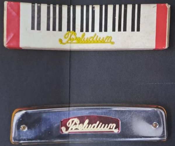 La nuotatrice notturna, il nuovo romanzo di Adrián N. Bravi