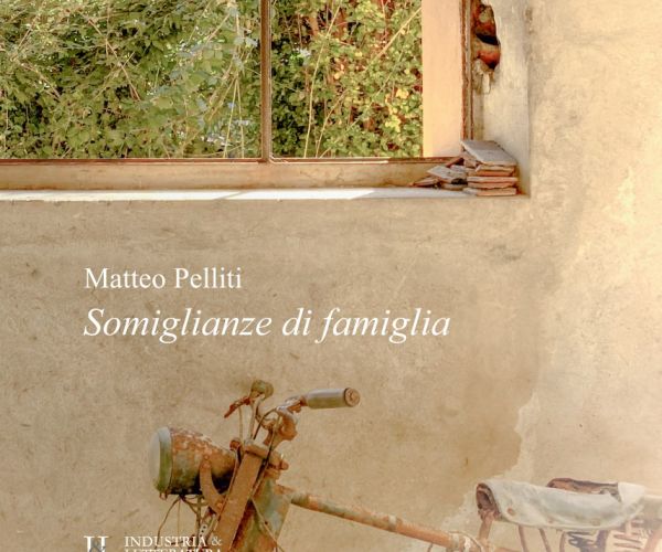 Geometrie tascabili e cosmiche. Su Somiglianze di famiglia di Matteo Pelliti