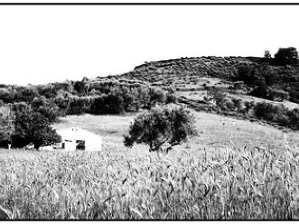 L’ultimo capitolo di Mastro don Gesualdo