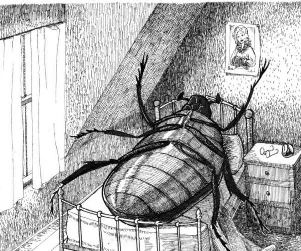 Il famoso incontro tra il cervo e lo scarafaggio