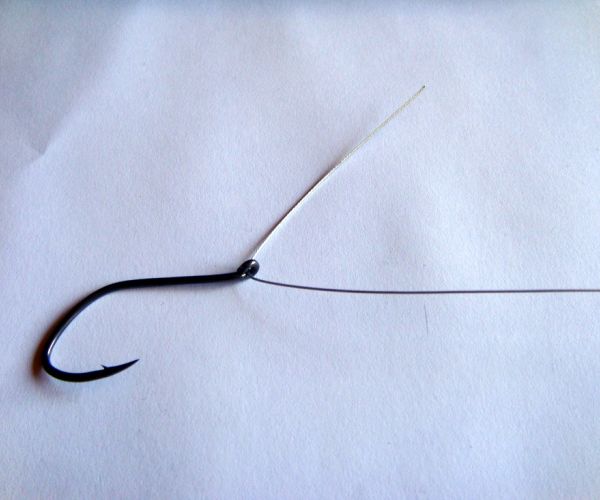 La poesia recente e la scuola. Con tre proposte didattiche