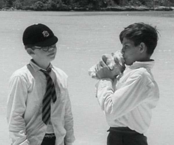 La strana estate della scuola