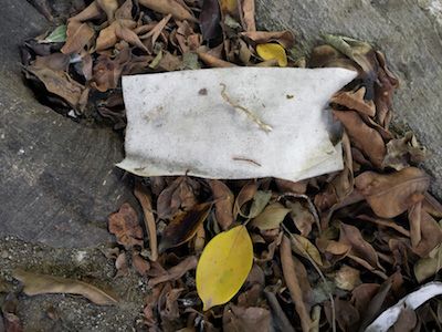 murgia 20160606 0040