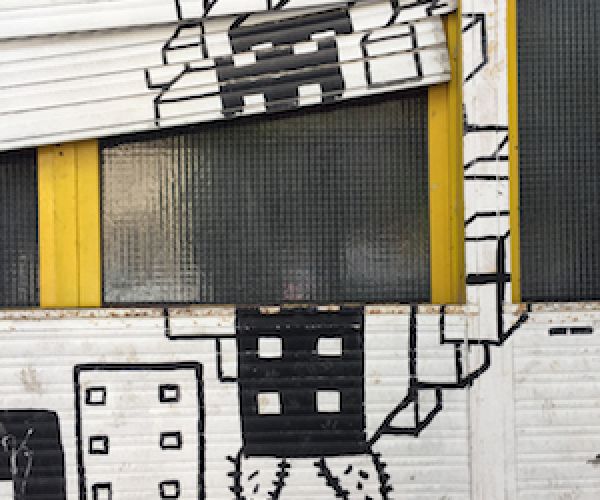 Teoria e Metodi/1. Scienze cognitive ed ecocritica: un’intervista a Marco Caracciolo