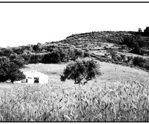 L’ultimo capitolo di Mastro don Gesualdo