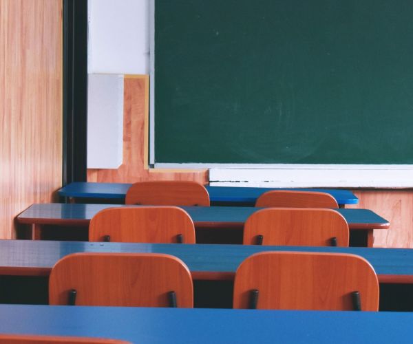 Sul confine tra classe e pollaio (apologo triste)