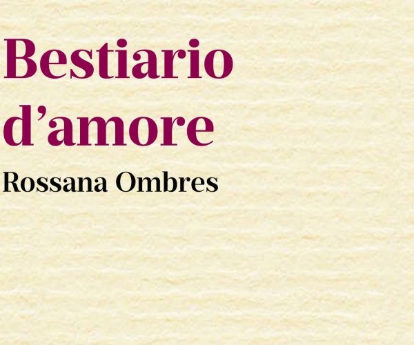 Dentro l’embrione di un papavero è nascosta la legge dell’amore