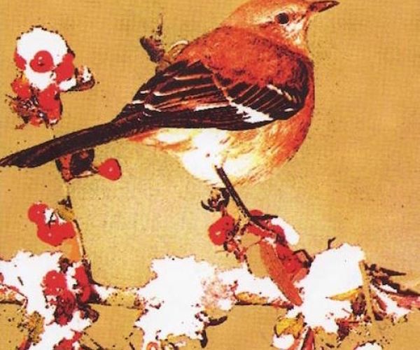 Perché leggere questo libro: Il buio oltre la siepe di Harper Lee