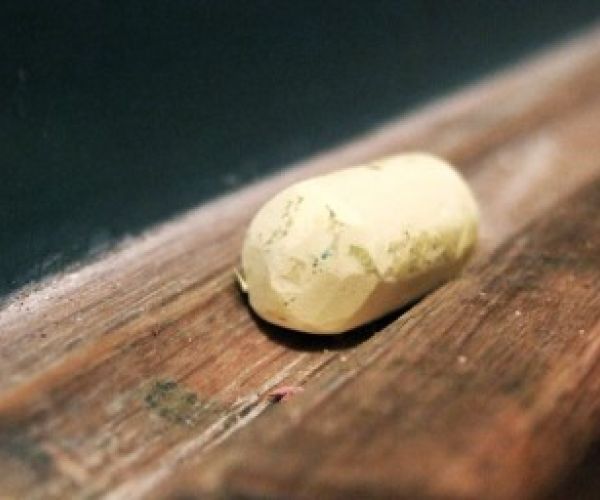 Considerazioni sulle prove Invalsi di italiano