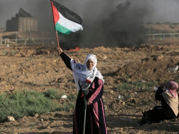 Dilaga il movimento universitario per la pace in Palestina