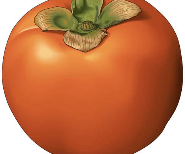 La fine dei BES nel Paese dei cachi/Il dibattito sui BES 13