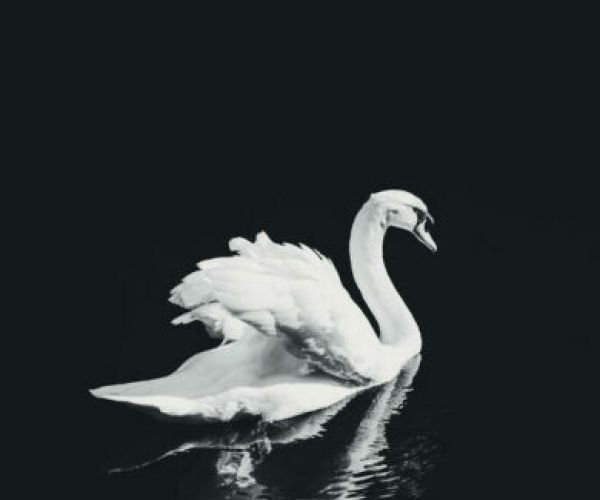 Su Estremi Occidenti di Valentina Sturli