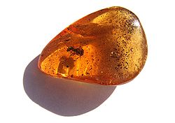 250px-An ant in amber