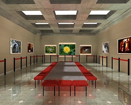 crea gallerie fotografiche virtuali 3d 1