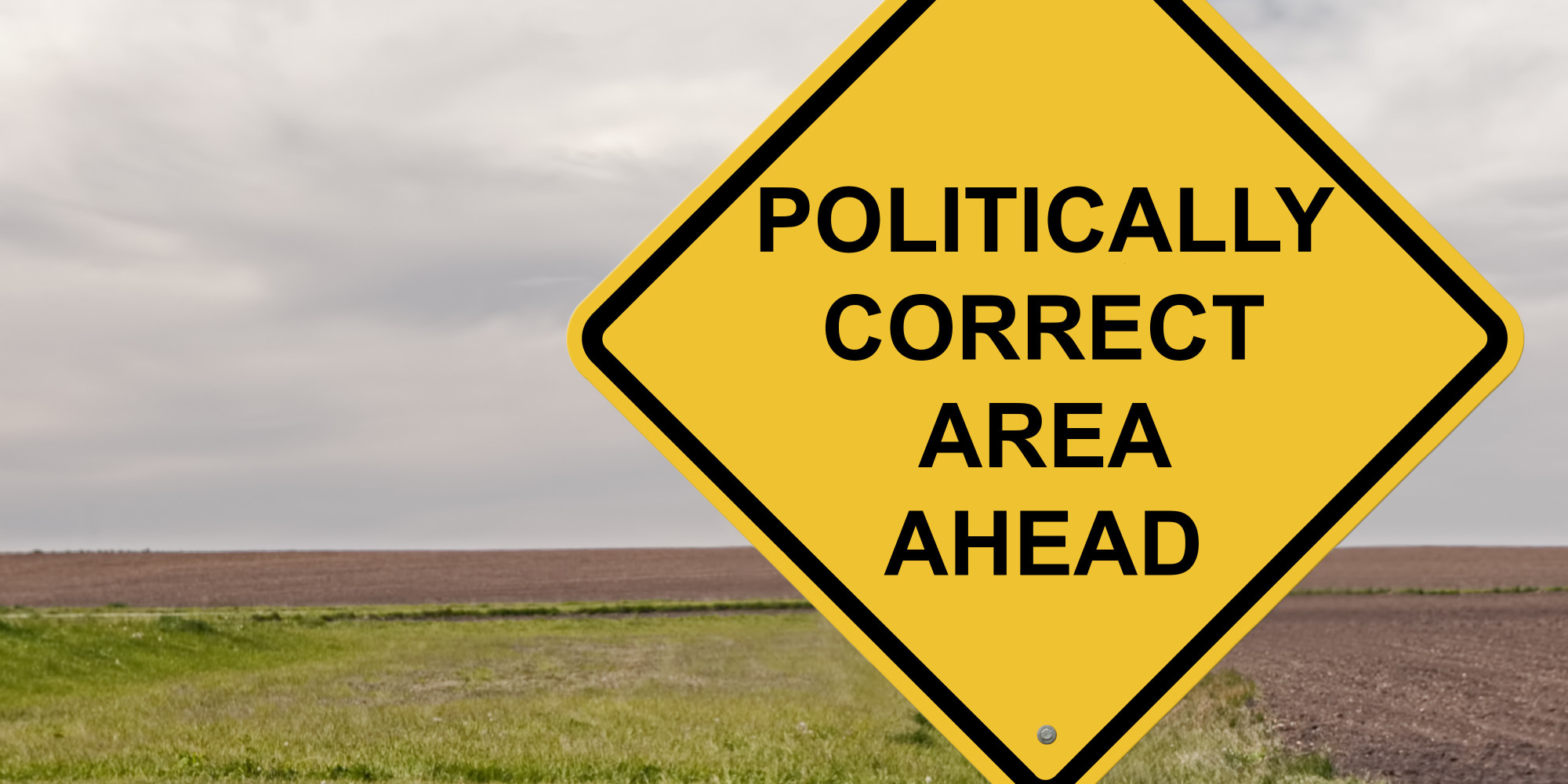 o POLITICAL CORRECT facebook