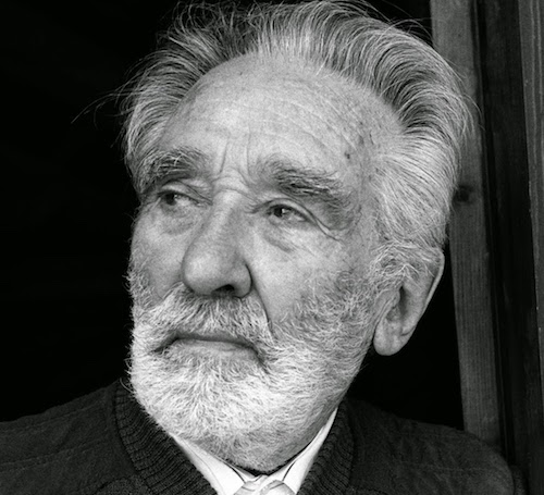 mario rigoni stern