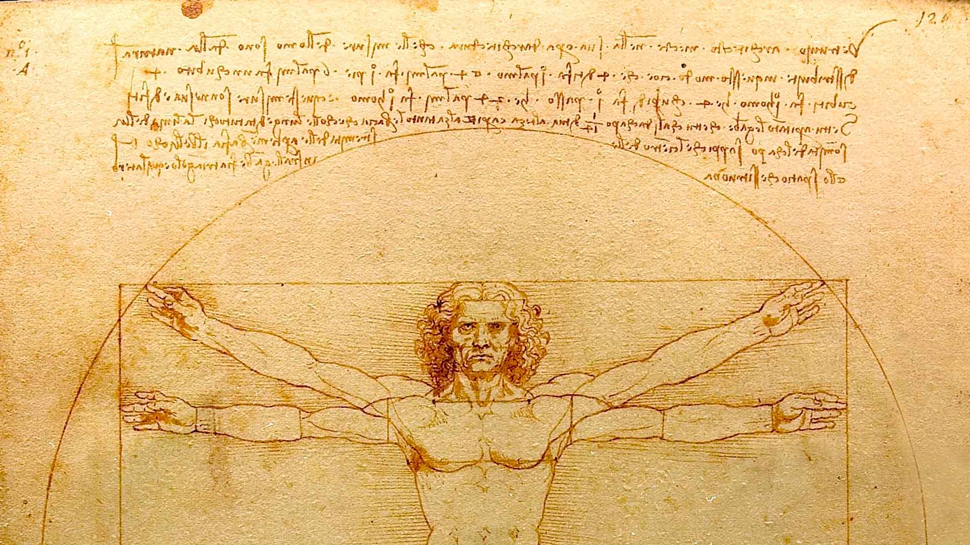 leonardo da vinci uomo vitruviano