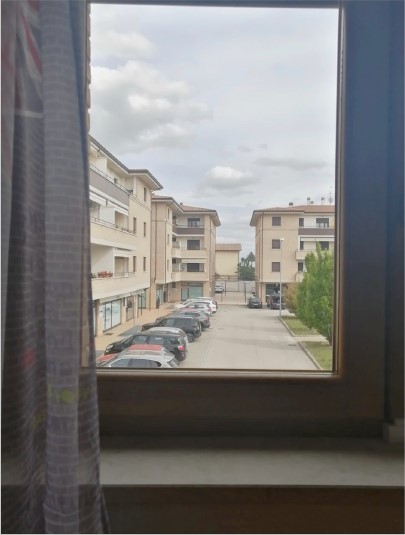 Foto articolo