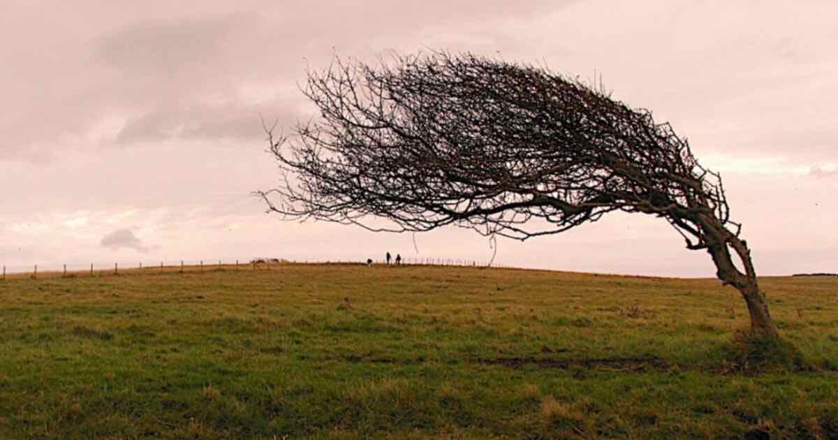 resilienza_significato-.jpg