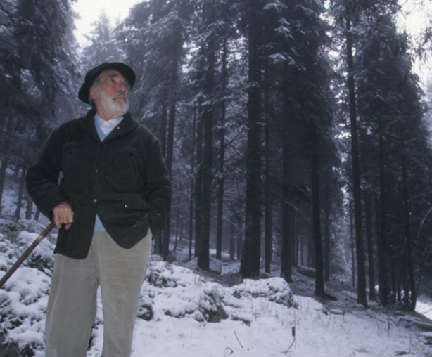614px511-mario-rigoni-stern-nel-suo-bosco-degli-urogalli-ad-asiago-foto-vgiannella.png