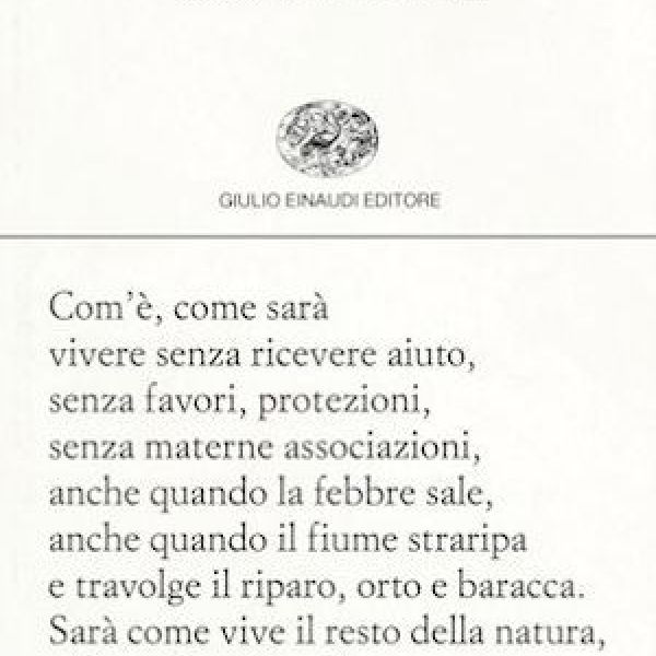 osare dire