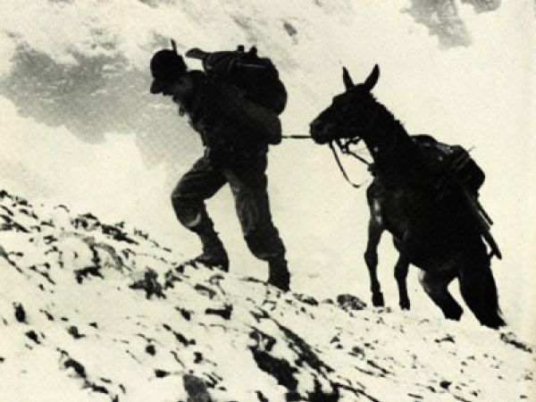 Gli intellettuali italiani e la Grande Guerra/ 1