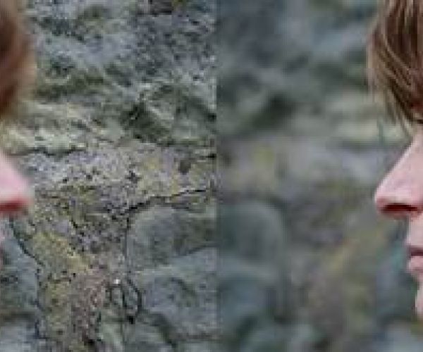 I modi della poesia italiana del Duemila: la rete della madre  Commento a e-mother di Elisa Biagini