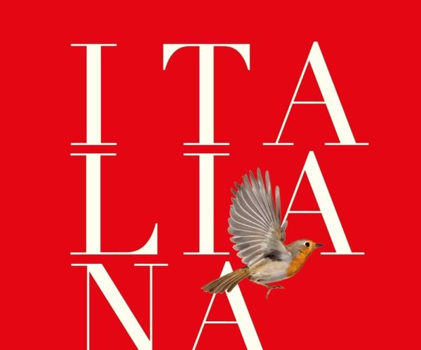 Vulesse addeventare nu brigante: a proposito di Italiana di G. Catozzella