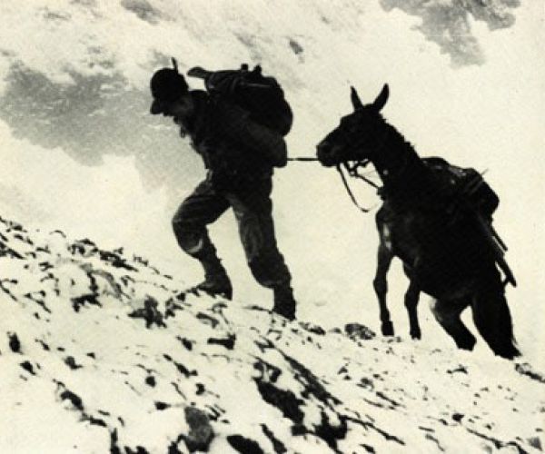Gli intellettuali italiani e la Grande Guerra/ 1