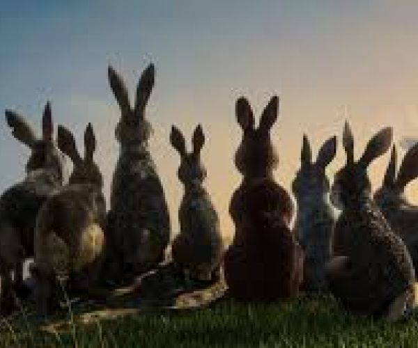 Leggere i classici per l’infanzia a scuola