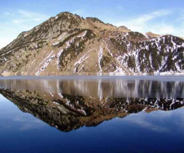Montale e il canone poetico del Novecento