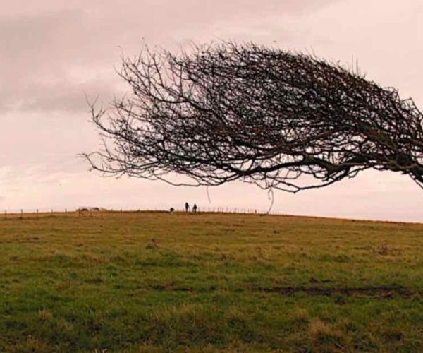 Prospettive a distanza  -Di nuovo in DAD alla secondaria di primo grado –