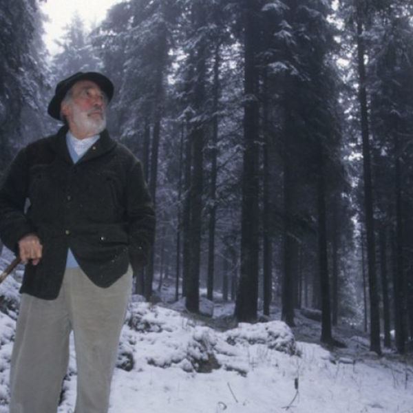 614px511-mario-rigoni-stern-nel-suo-bosco-degli-urogalli-ad-asiago-foto-vgiannella.png