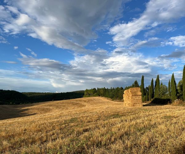 I consigli della redazione per l’estate 2026