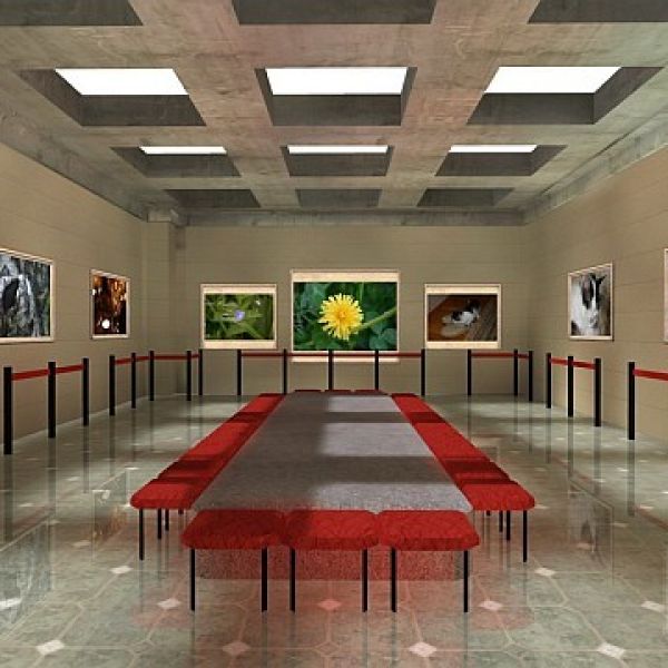 crea gallerie fotografiche virtuali 3d 1