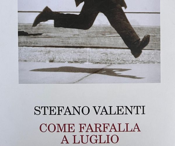 Genova 2001: il rimosso politico. Su “Come farfalla a luglio” di Stefano Valenti