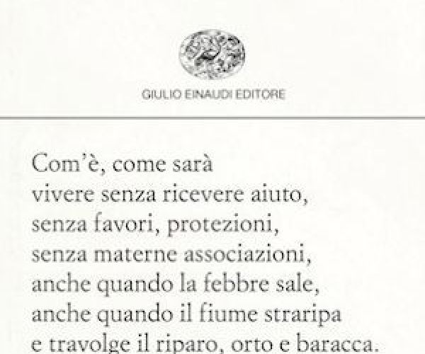I paradossi del significato: su Osare dire di Cesare Viviani
