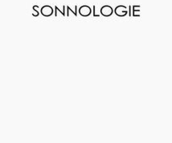 Una poesia laminare  Su Sonnologie di Lidia Riviello