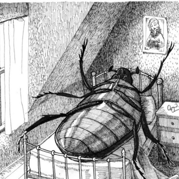 metamorfosi kafka 2