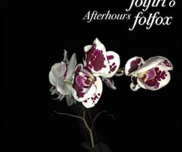 Epifanie del padre. Su Folfiri e Folfox degli Afterhours