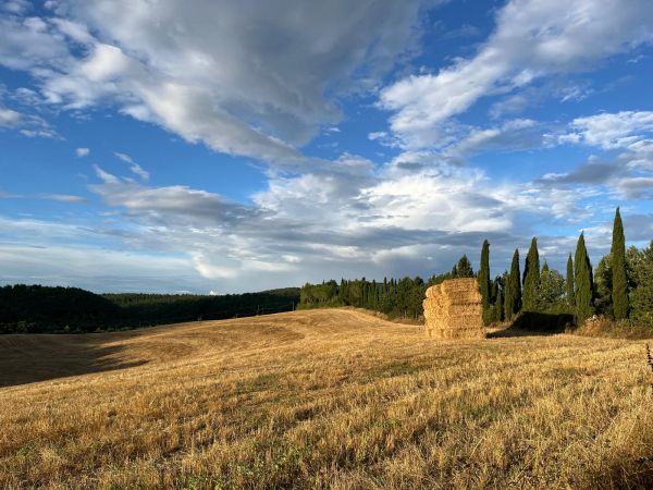 I consigli della redazione per l’estate 2026