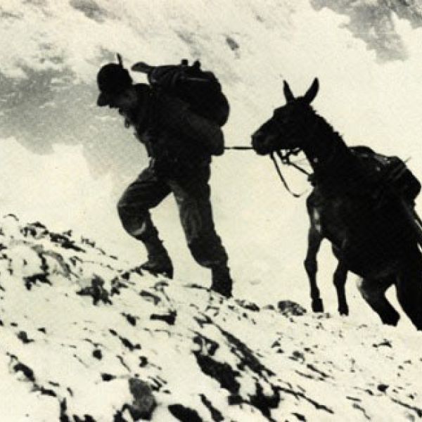 alpino e mulo albania