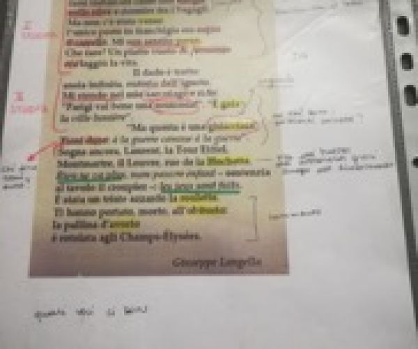 Scegliere il Romanzo al posto della Storia: a proposito de “La scelta” di Giovanni Dozzini