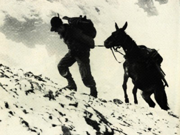 Gli intellettuali italiani e la Grande Guerra/ 2