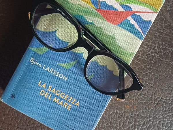 Non fate la guerra, andate per mare! Su “La saggezza del mare” di Björn Larsson