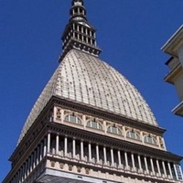 000000000000000Moleantonelliana00001