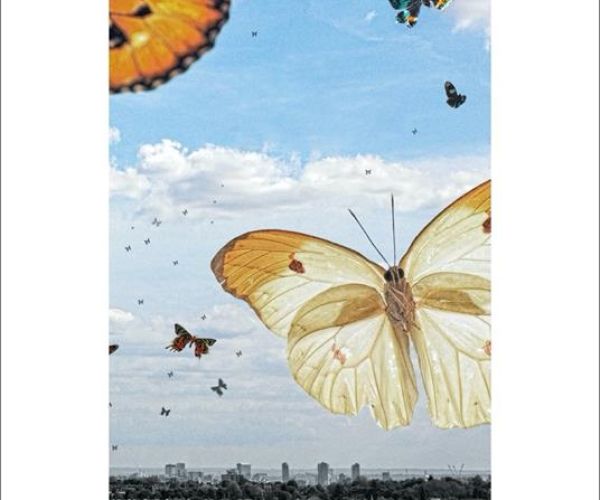Perché leggere “Tutto per i bambini” di Delphine De Vigan