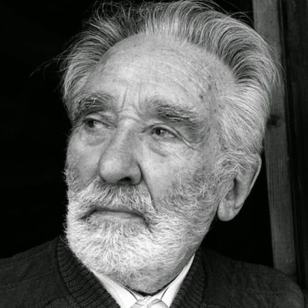 mario rigoni stern